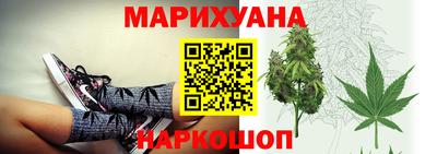 сатива Коммунар