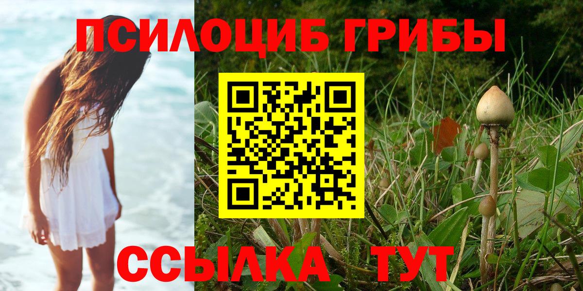 Псилоцибиновые грибы Psilocybe  Вход с VPN  Электросталь 